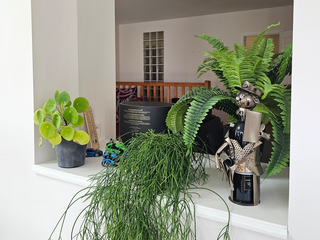 Vente appartement 6 pièces