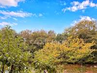 Vente appartement 6 pièces