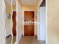 Vente Studio 1 pièce