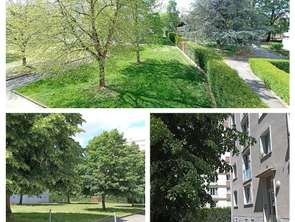 Vente Appartement 4 piècesRennes