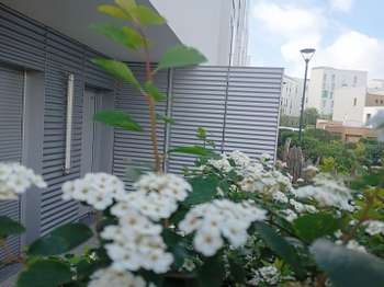 Vente Appartement 3 piècesRennes Arsenal - Redon