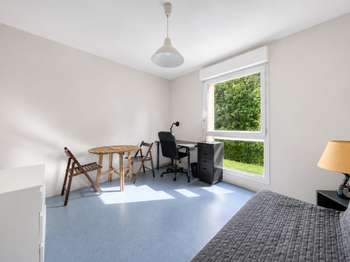 Vente Studio 1 pièce