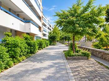 Vente appartement 1 pièce Rennes Bourg L'evêque 35