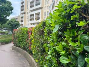 Vente Appartement 5 piècesRennes Centre Ville