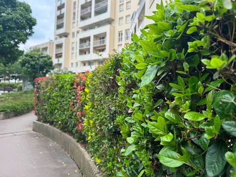 Vente appartement 5 pièces Rennes Centre Ville 35