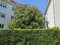 Vente appartement 6 pièces