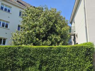 Vente appartement 6 pièces