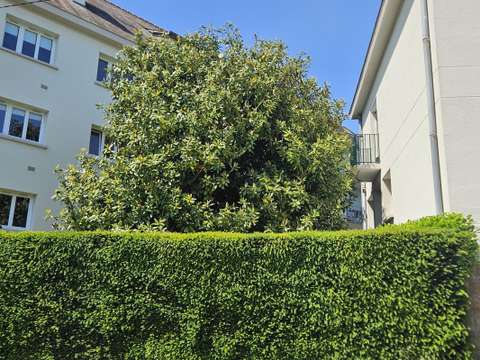 Vente appartement 6 pièces
