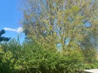 Vente appartement