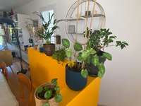 Vente appartement