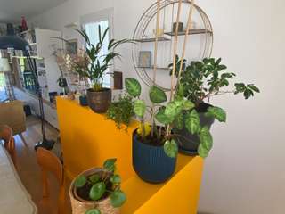 Vente appartement