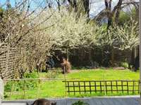 Vente appartement