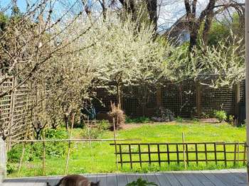 Vente appartement