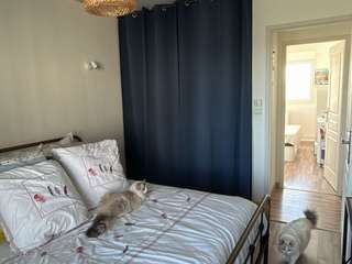 Vente appartement 5 pièces