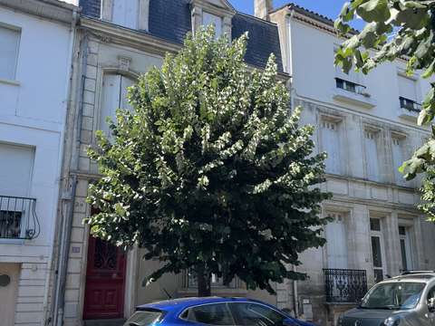 Vente appartement 2 pièces Royan 17
