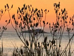 Vente StudioSables-d-or-les-pins