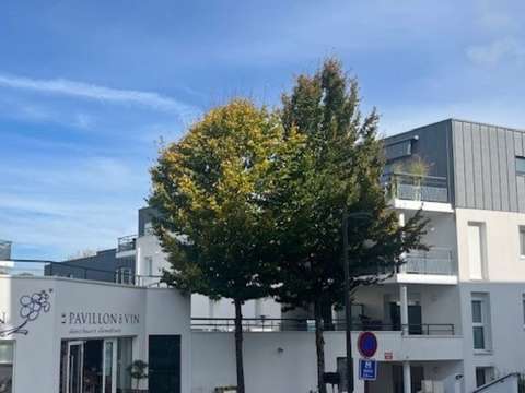 Vente appartement 4 pièces Saint-Avé 56