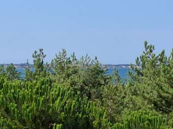 Vente Appartement 3 piècesSaint-brevin-l-ocean