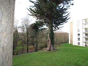 Vente Appartement 4 piècesSaint-Brieuc