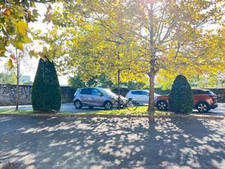 Vente Studio 1 pièce