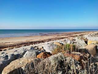 Vente Studio 1 pièce