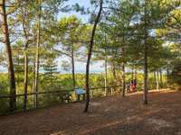 Vente Studio 1 pièce Vente Studio 1 pièce
