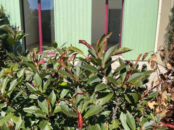 Vente Appartement 3 piècesSaint-Jouan-des-Guérets