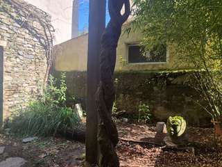 Vente appartement 10 pièces