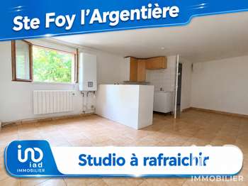 Vente appartement 1 pièce Souzy 69