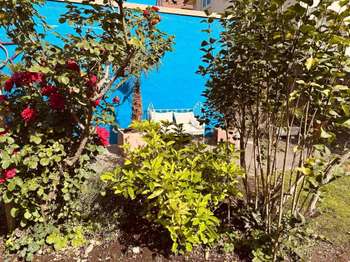 Vente Appartement 6 pièces +Strasbourg