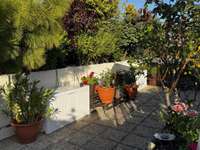 Vente appartement 7 pièces