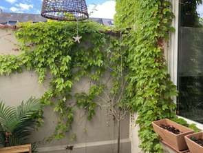Vente Appartement 3 piècesTours