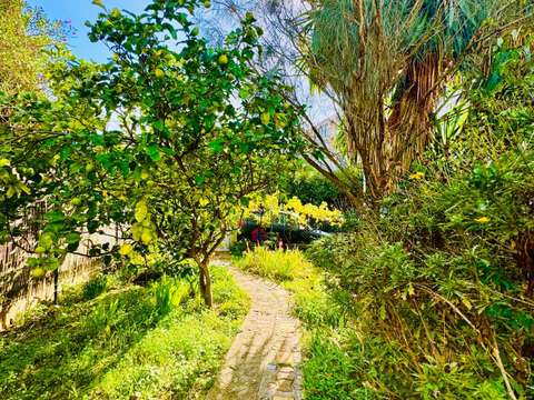 Vente appartement 3 pièces Vallauris 06