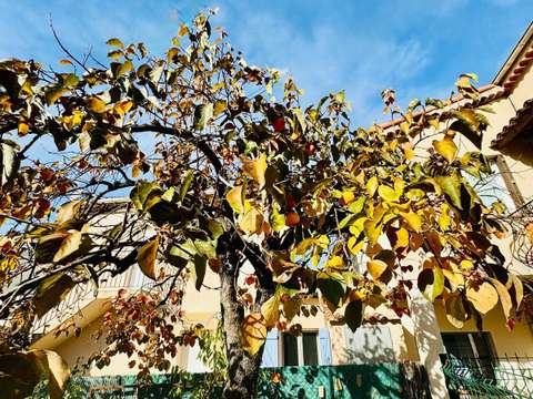Vente appartement 3 pièces Vallauris 06