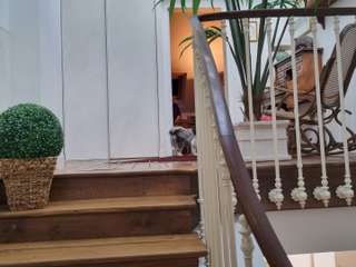 Vente appartement 8 pièces