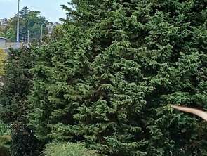 Vente Appartement 2 piècesVannes Sud-est