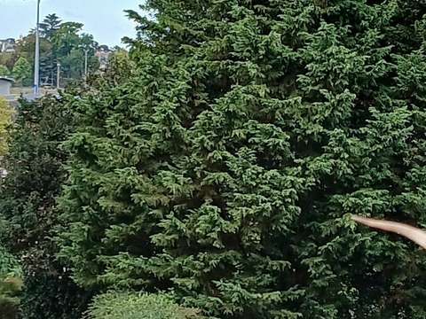 Vente appartement 2 pièces Vannes Sud-est 56