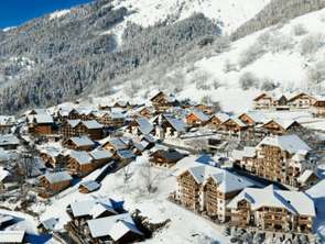 Vente Appartement 3 piècesVaujany