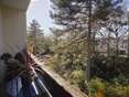 Vente appartement 3 pièces Versailles - 78