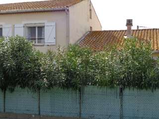 Vente appartement 7 pièces