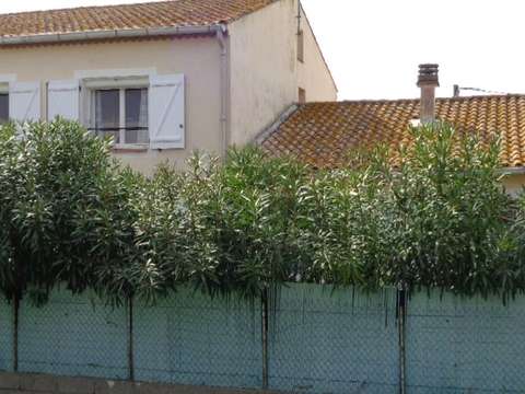 Vente appartement 7 pièces
