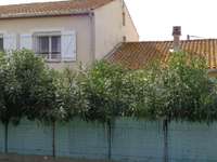 Vente appartement 7 pièces Vente appartement 7 pièces
