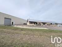 Vente appartement 10 pièces Vente appartement 10 pièces