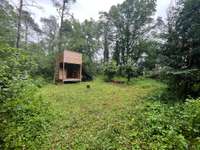 Bois, forêt et étang Bellengreville - 14