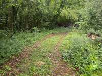 Bois, forêt et étang