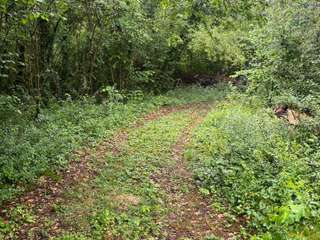 Bois, forêt et étang Bois, forêt et étang