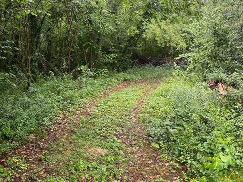 Bois, forêt et étang Bois, forêt et étang