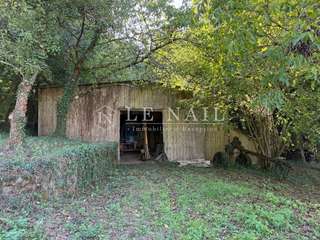 Bois, forêt et étang