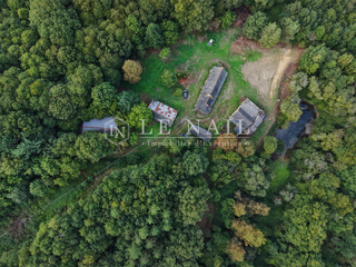 Bois, forêt et étang