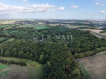 Bois, forêt et étang Château-Gontier 53